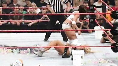 WWE Divas: Wet And Wild