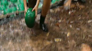 I'm a Celebrity, Get Me Without Here! scene 3