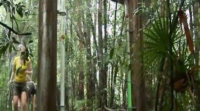 I'm a Celebrity, Get Me Without Here! scene 3