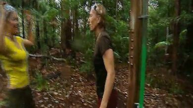 I'm a Celebrity, Get Me Without Here! scene 3