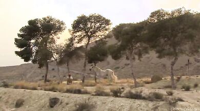 The Tulse Luper Suitcases, Part 1: The Moab Story scene 6