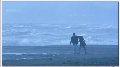 Sweet November