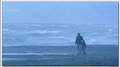 Sweet November
