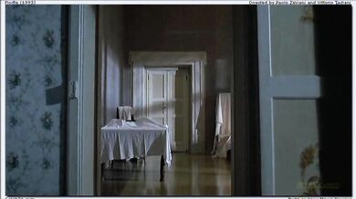 Fiorile