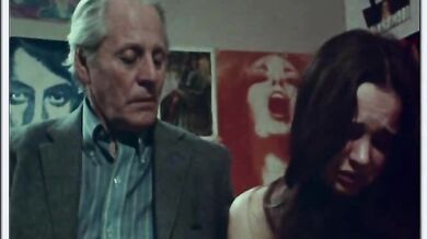 Anita - ur en ton??_rsflickas dagbok scene 7