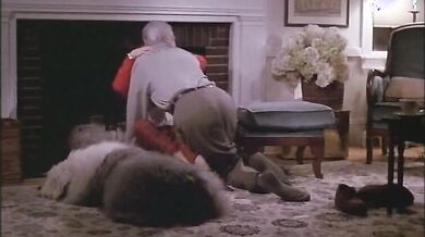HouseSitter