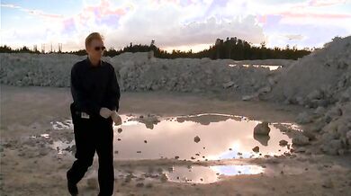 CSI: Miami