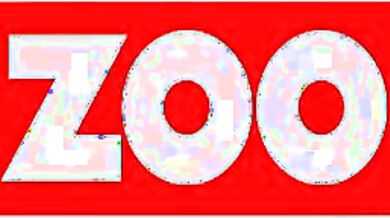 Zoo TV