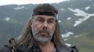 The Viking Sagas
