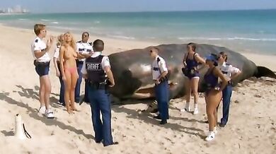 Reno 911!: Miami