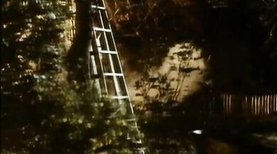 Drowning by Numbers scene 2