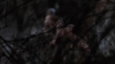 The Guardian scene 4