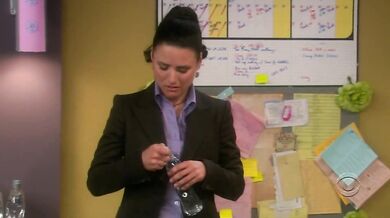The New Adventures of Old Christine scene 7