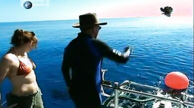 MythBusters: Jaws Particular