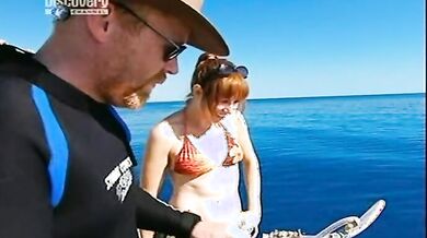 MythBusters: Jaws Particular