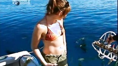 MythBusters: Jaws Particular