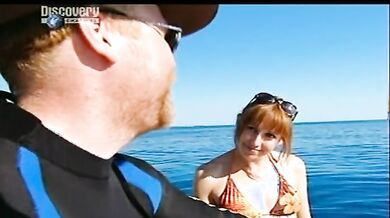 MythBusters: Jaws Particular