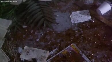 Better Than Chocolate scene 6