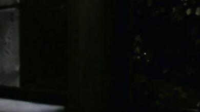 Heart scene 2