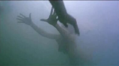Iris scene THREE
