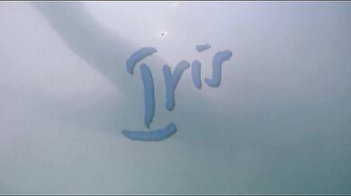 Iris scene 5
