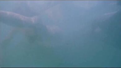 Iris scene 5