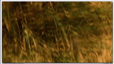 A Sweet Scent of Death scene 4