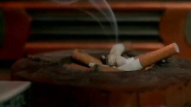 Wild at Heart scene 5