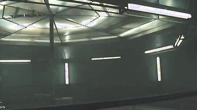 Pathology scene 5