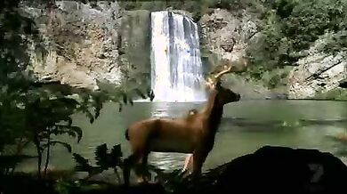Hercules scene 3