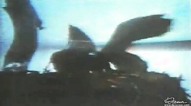 Crazed scene 5