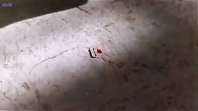 Womens Prison Massacre scene TWO