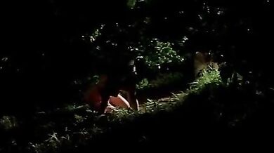 The Garden scene 3
