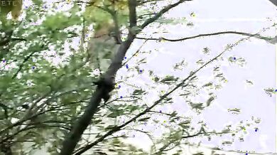 Hurricane scene 2