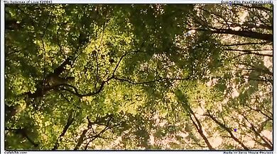 My Summer of Love scene 6