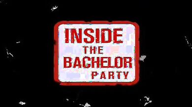 American Wedding scene 16