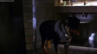 Barb Wire scene 4