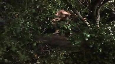 Human Nature scene TWO