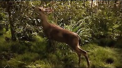 Human Nature scene 3