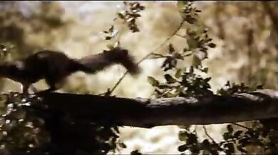 Human Nature scene 3