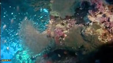 Paradise scene 3