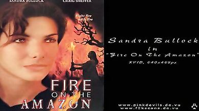 Fire on the Amazon