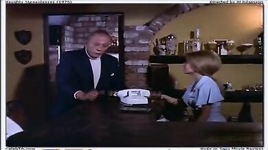 Nasty Stewardesses scene 9