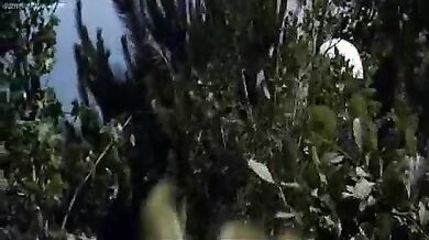Magnum Power scene 2